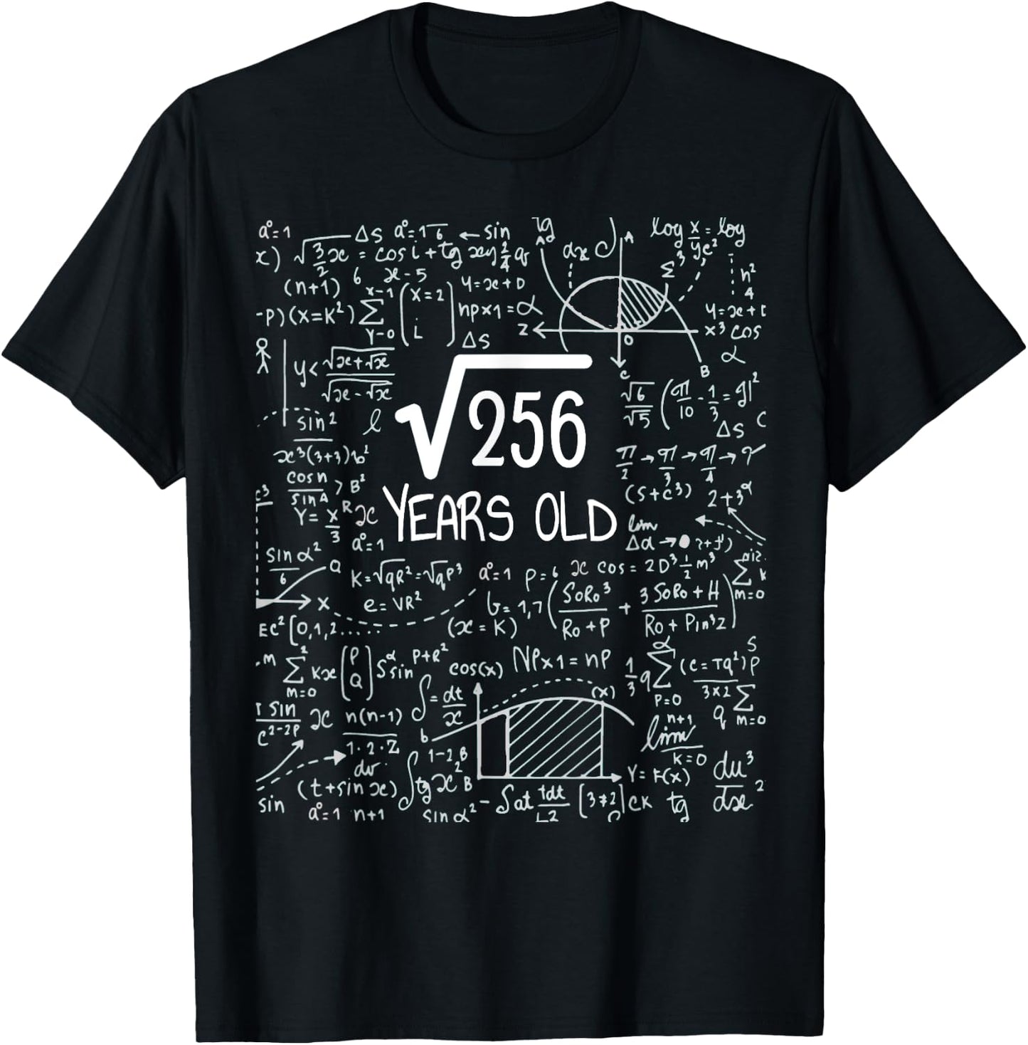 16th Birthday Square Root of 256: 16 Years Old T-Shirt - T-Shirt | Black