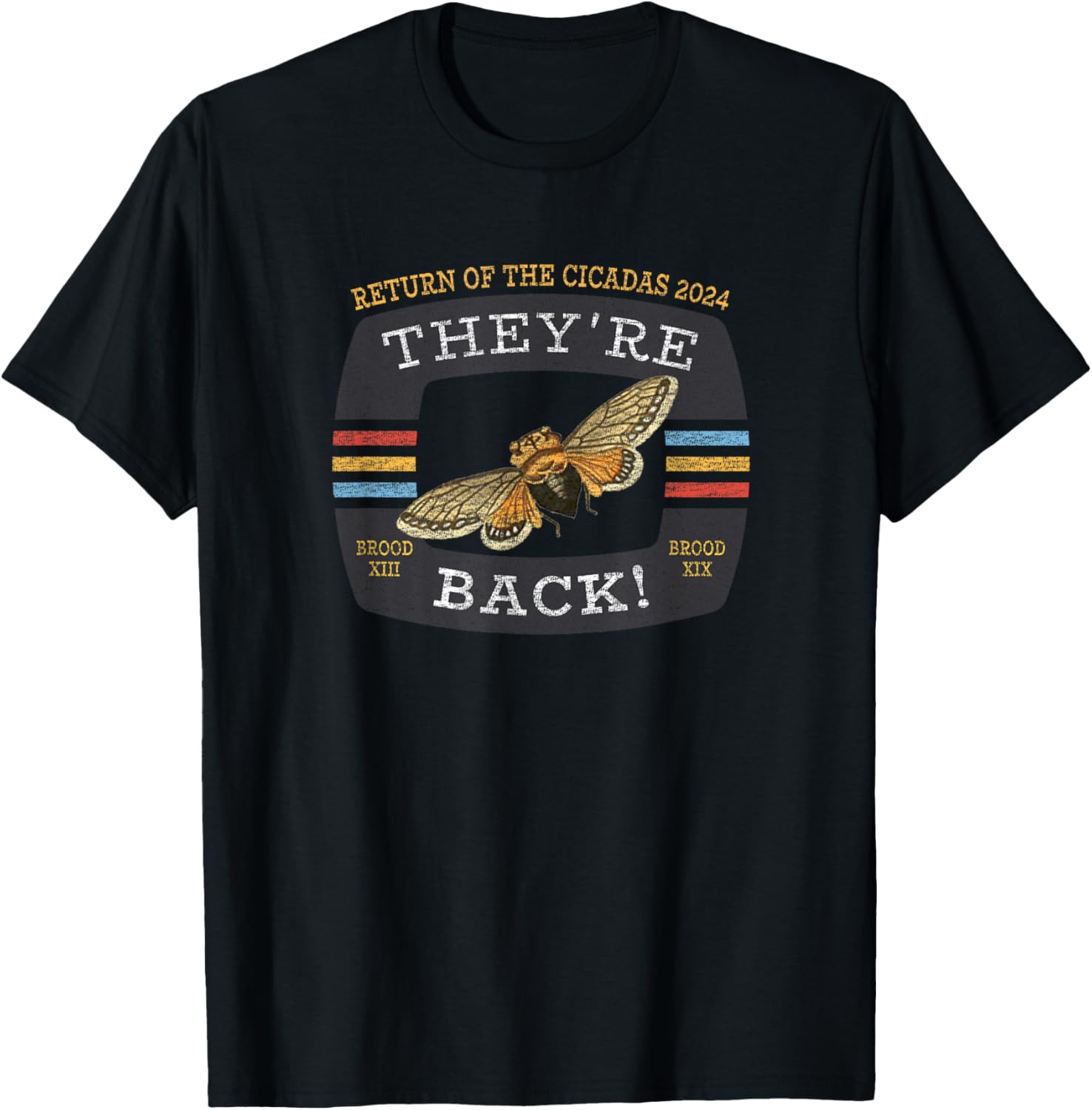 Cicada Brood XIX And Brood XIII 2024 Reemergence T-Shirt - T-Shirt | Black