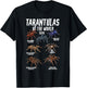 Tarantulas Animals of the World Spider Science Arachnologist T-Shirt - T-Shirt | Black