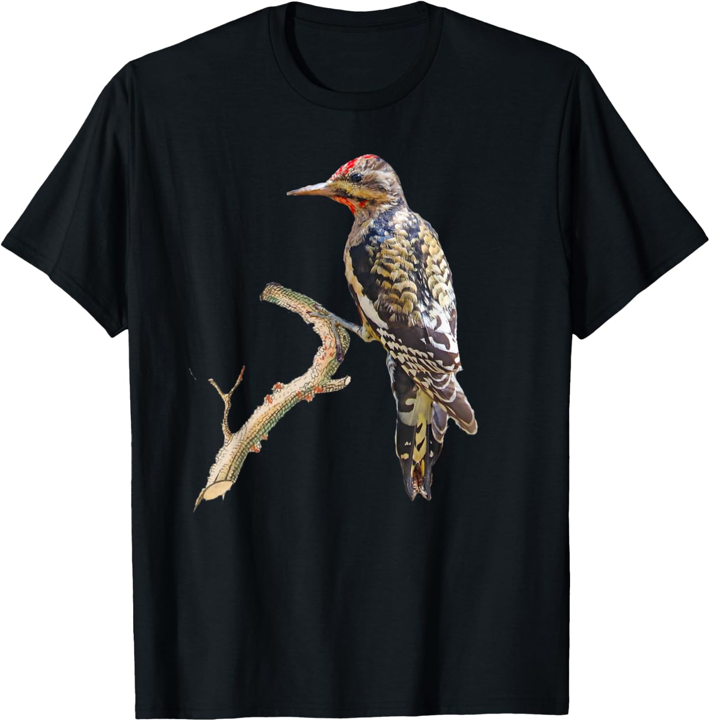 Yellow-bellied Sapsucker Woodpecker Bird T-Shirt - T-Shirt | Black