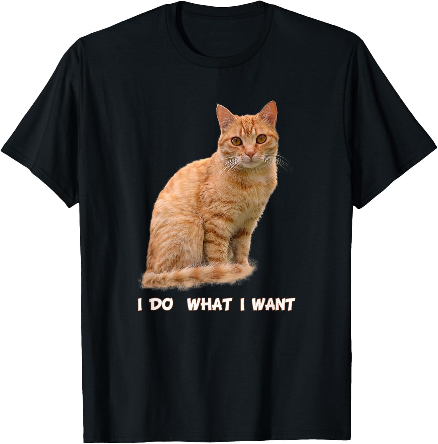 I Make What I Want Funny Orange Tabby Cat Lovers T-Shirt - T-Shirt | Black