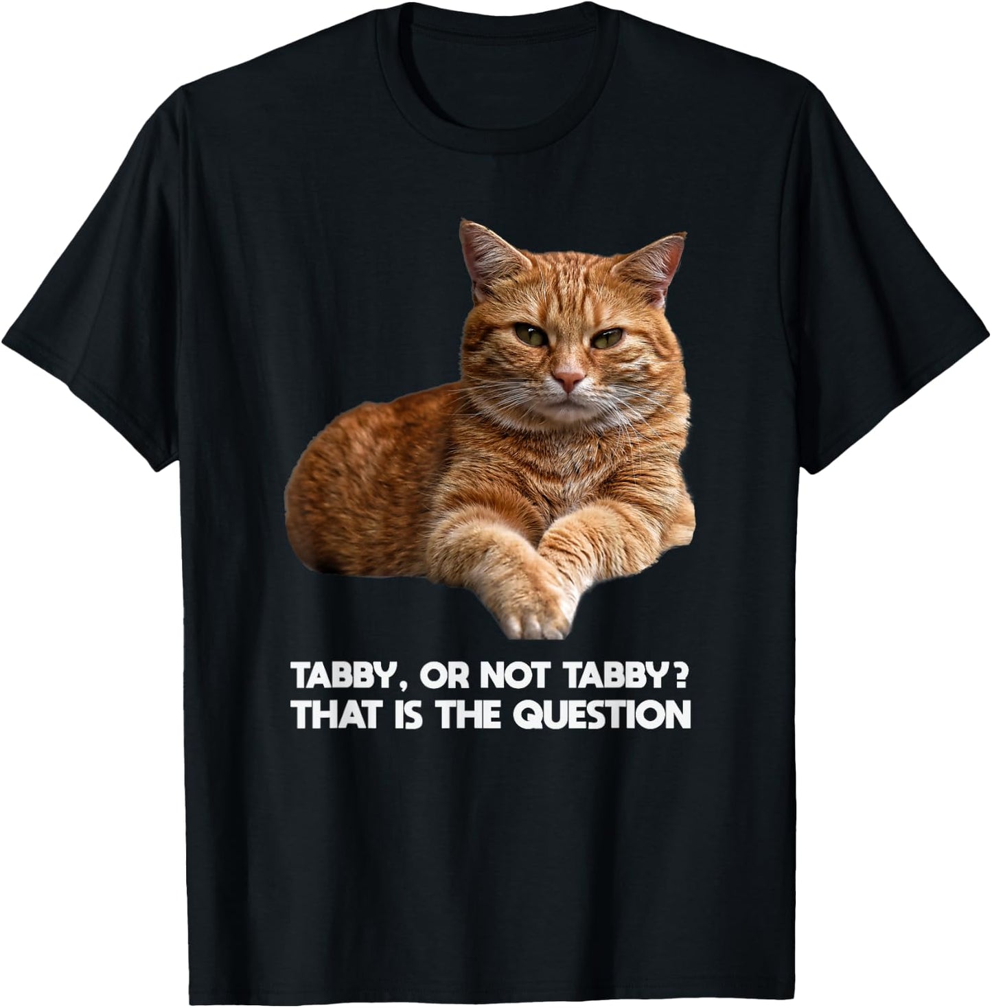 Orange Tabby Cat Funny Meme Design Graphic T-Shirt - T-Shirt | Black