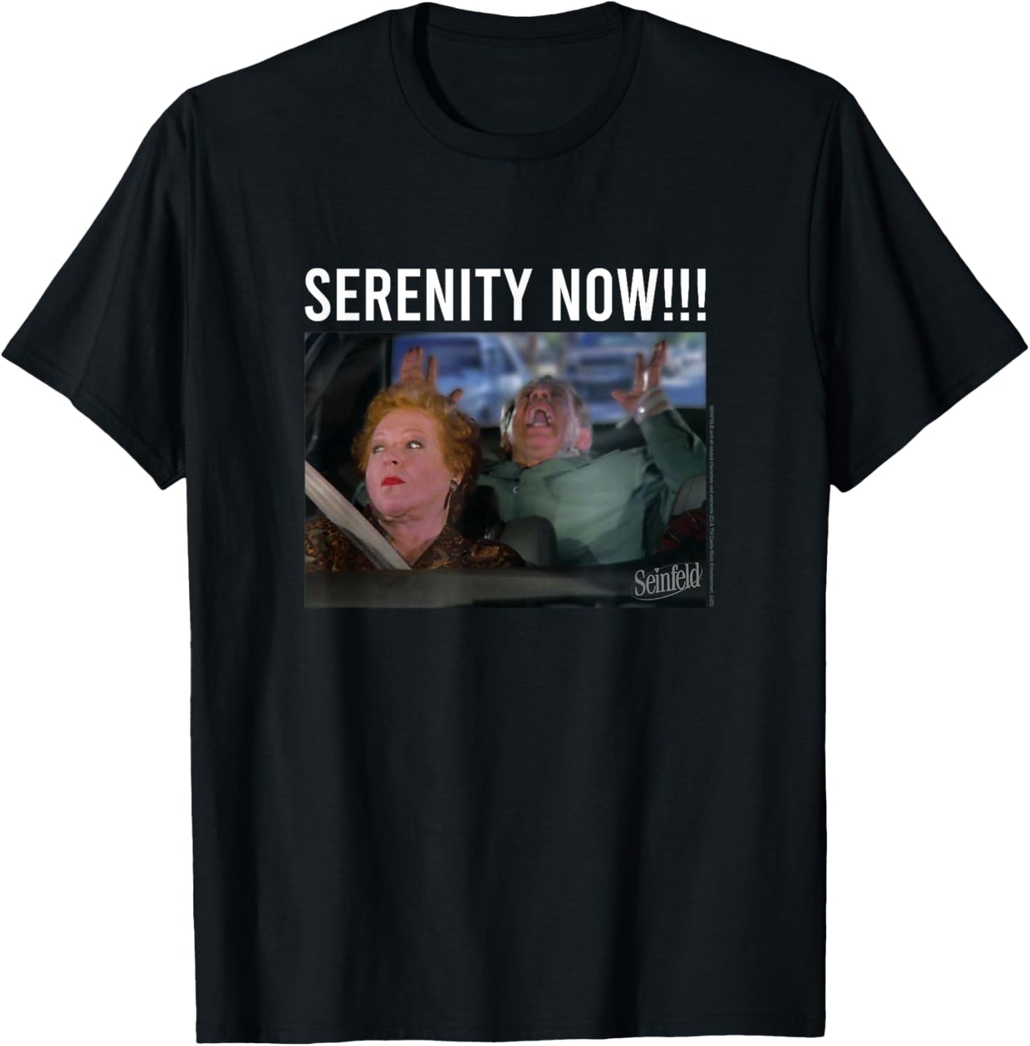 Seinfeld Serenity Now Frank Costanza Vintage Photoreal T-Shirt - T-Shirt | Black