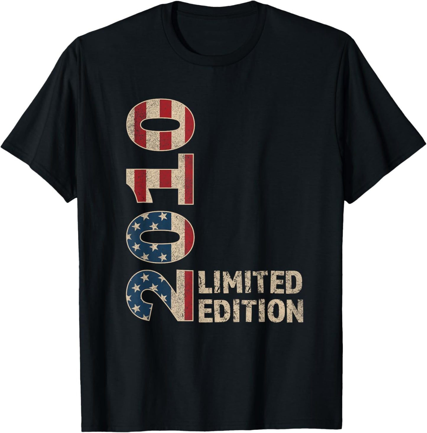 15th Birthday Gift Boy Vintage Born 2010 Turning 15 Year old T-Shirt - T-Shirt | Black
