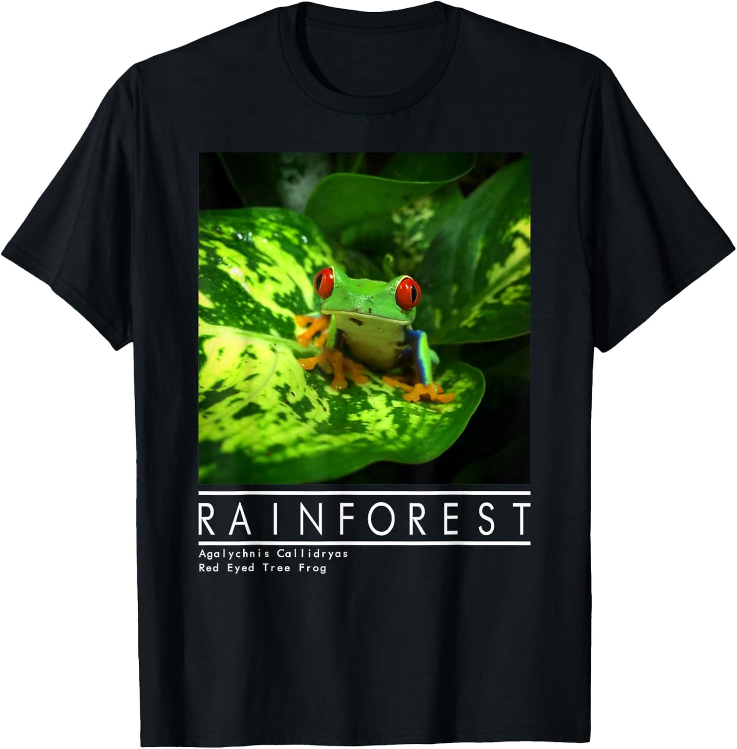 Red Eyed Tree Frog Rainforest Amphibian T-Shirt - T-Shirt | Black