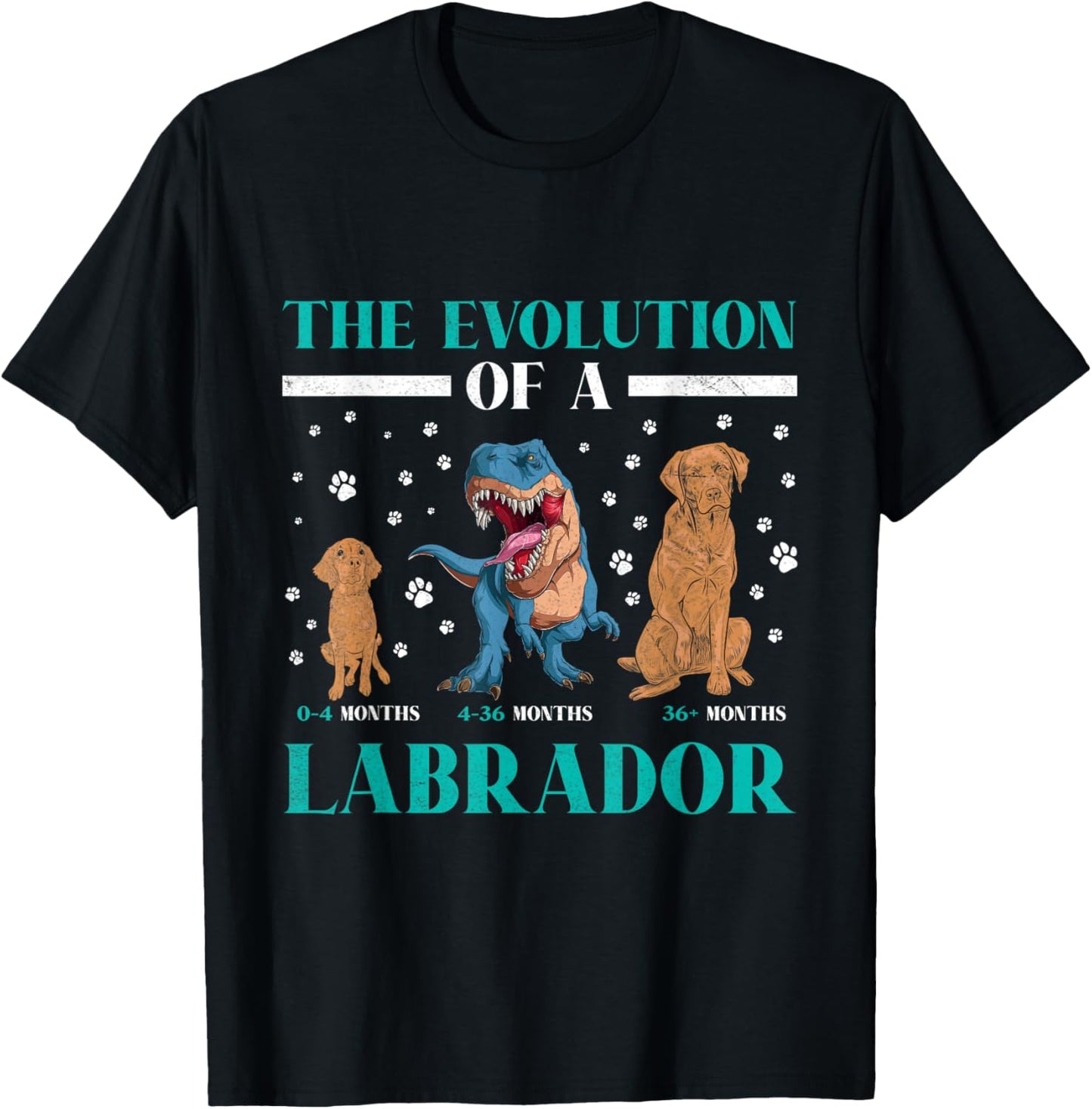 EVOLUTION OF A LABRADOR RETRIEVER Owner Labradors T-Shirt - T-Shirt | Black