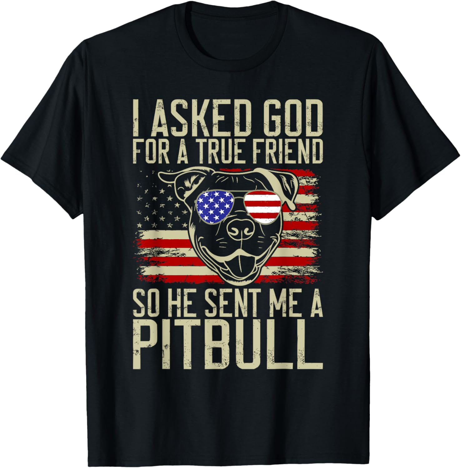 I asked God for a true Friend so he sent me a Pitbull T-Shirt - T-Shirt | Black