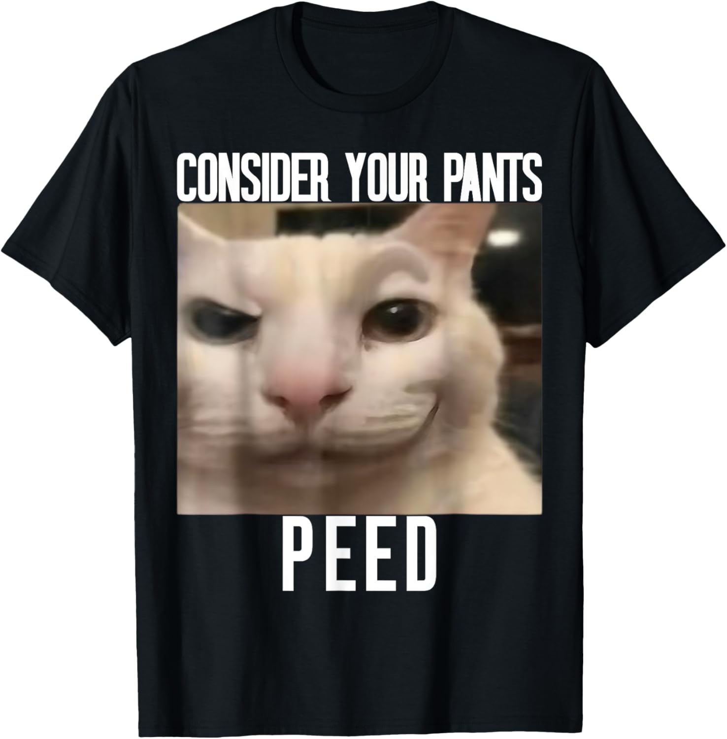 Consider Your Pants Peed Weird Cat Meme Funny Memes Brainrot T-Shirt - T-Shirt | Black