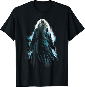 Harry Potter Dumbledore Burst T-Shirt - T-Shirt | Black