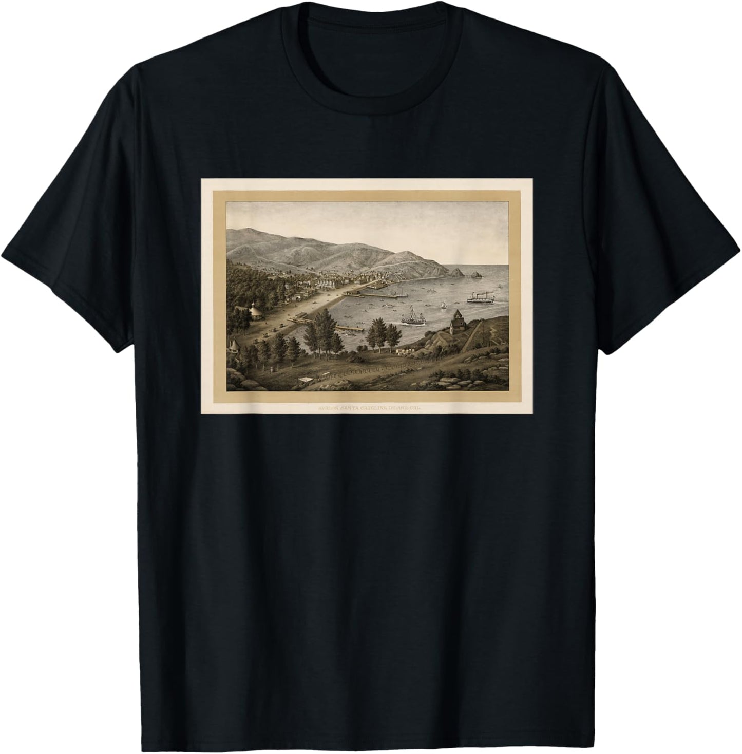 Vintage Avalon CA Map (1885) T-Shirt - T-Shirt | Black