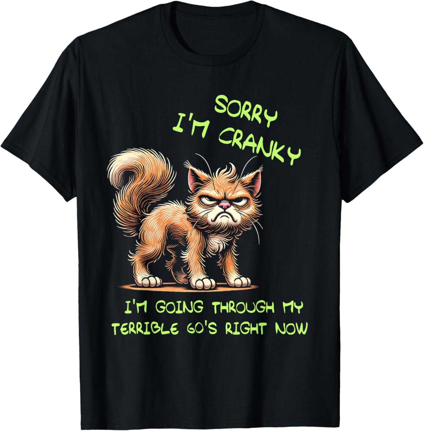 Cat Sorry I'm Cranky I'm Going Through My Terrible 60's T-Shirt - T-Shirt | Black