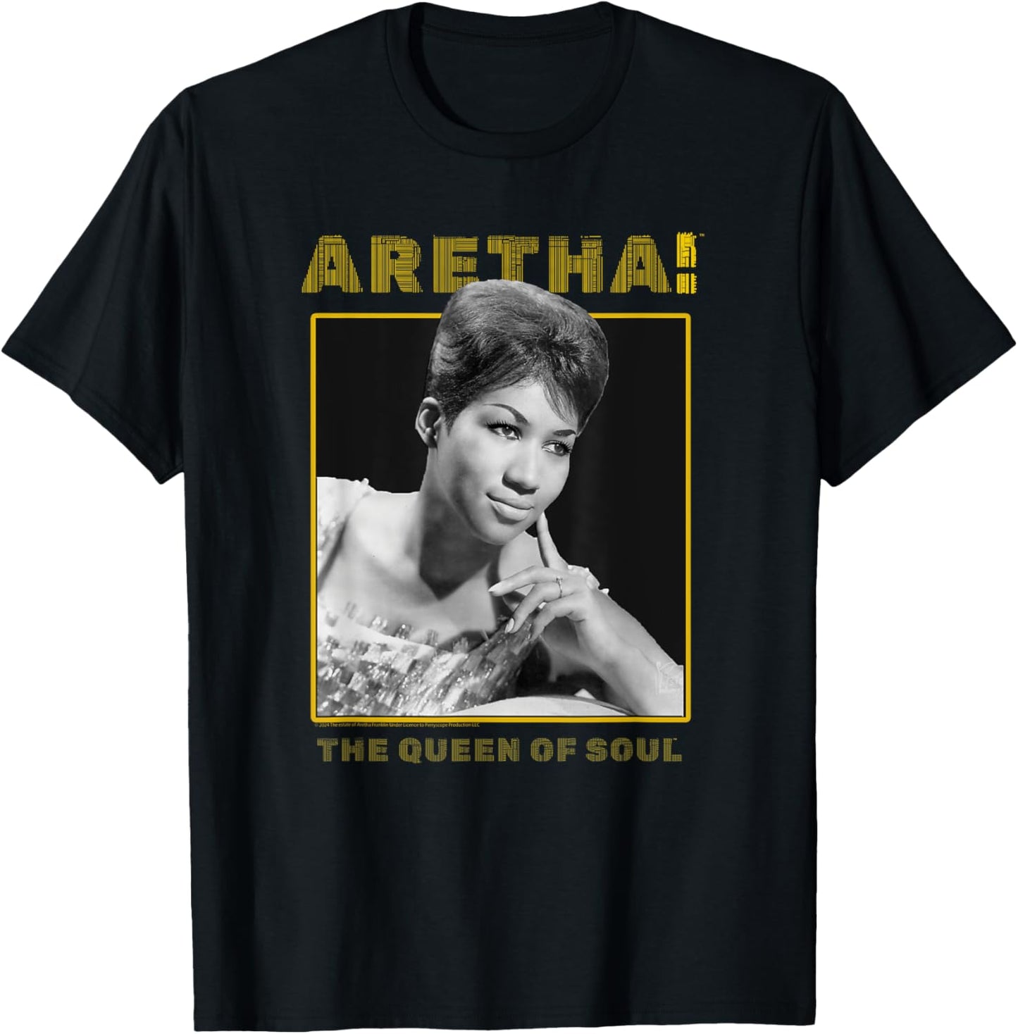Aretha Franklin The Queen of Soul Music Portrait T-Shirt - T-Shirt | Black
