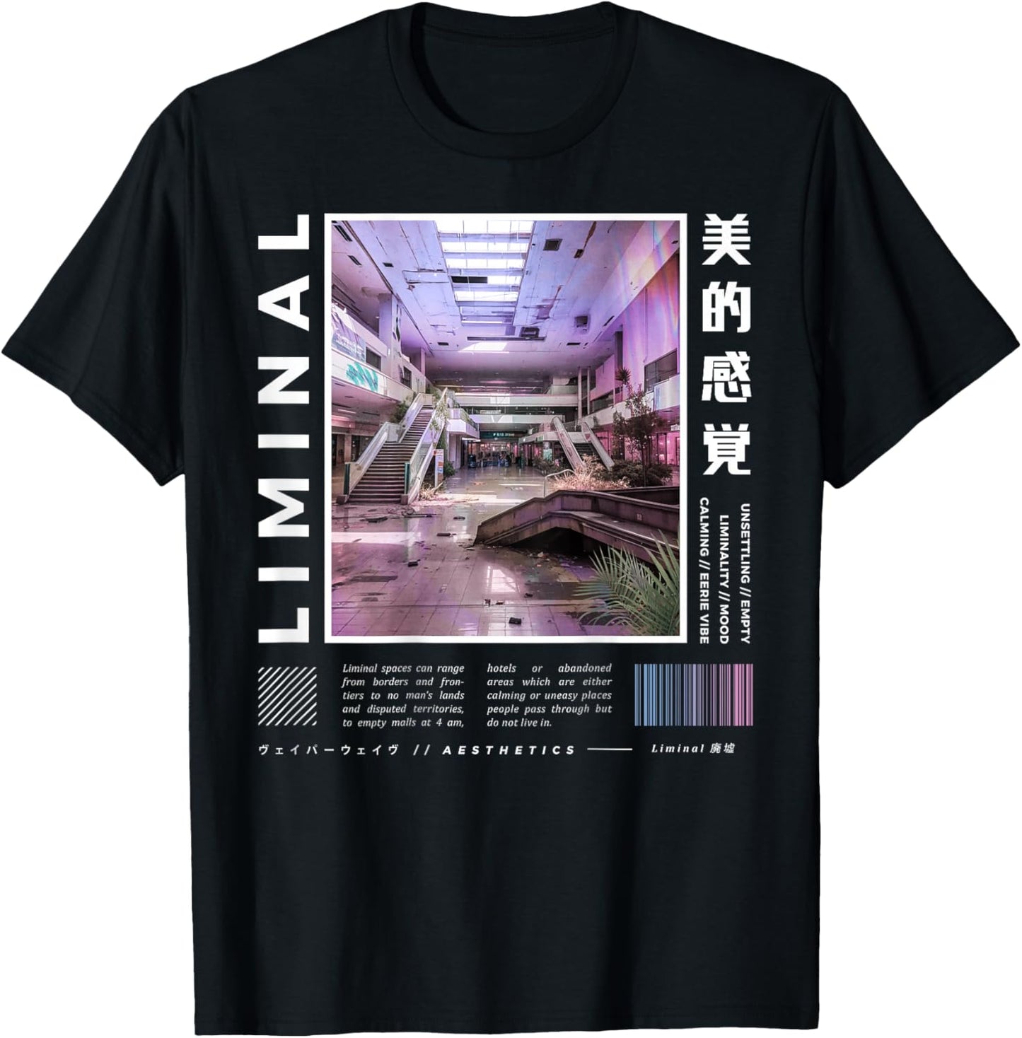 Liminal Spaces (BackPrint) Vaporwave Backrooms Pastel Goth T-Shirt - T-Shirt | Black
