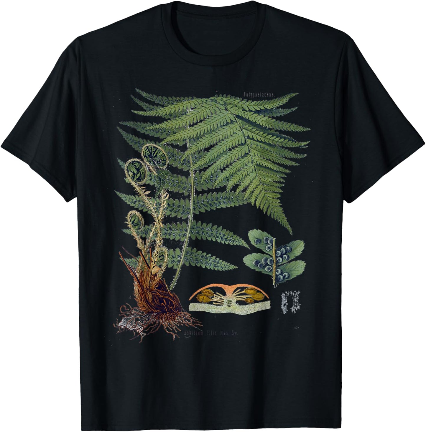 Fern Botanical Plants Botany T-Shirt - T-Shirt | Black
