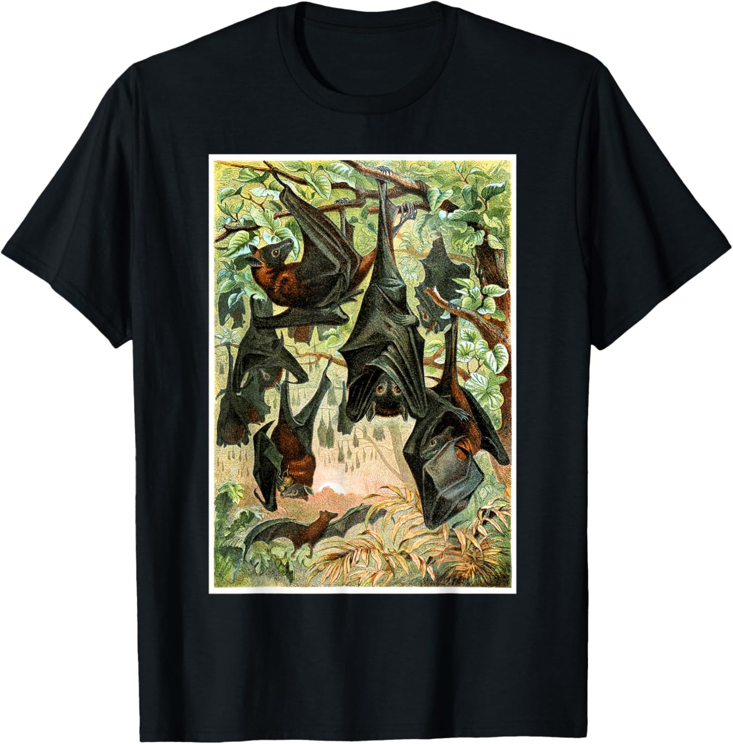 Flying Foxes Bats Hanging Bat Vintage Animal Illustration T-Shirt - T-Shirt | Black