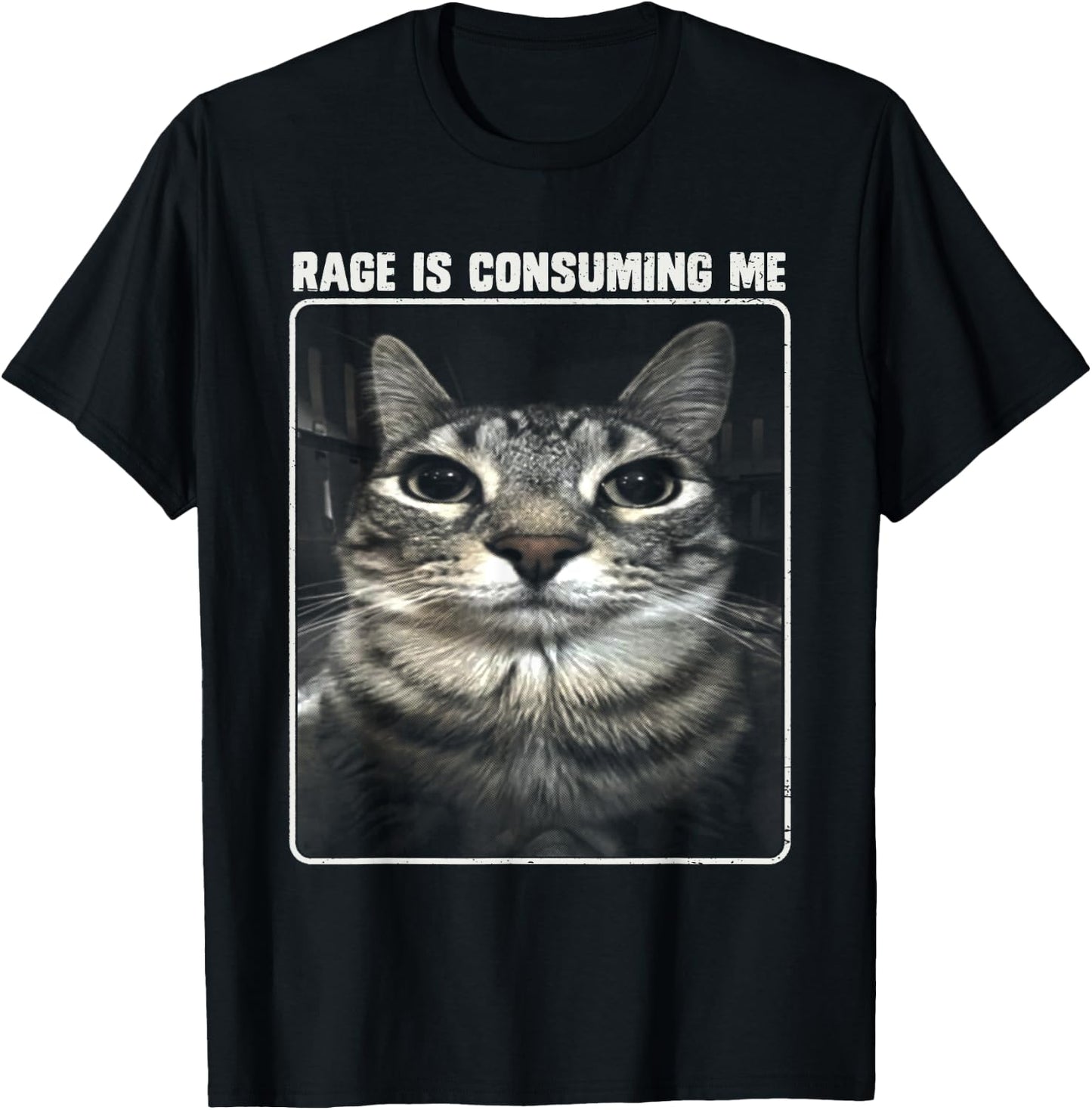 Rage Is Consuming Me Meme Silly Cat Women Girls Kids T-Shirt - T-Shirt | Black