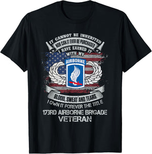 Own Forever The Title 173rd Airborne Brigade Veteran Flag US T-Shirt - T-Shirt | Black