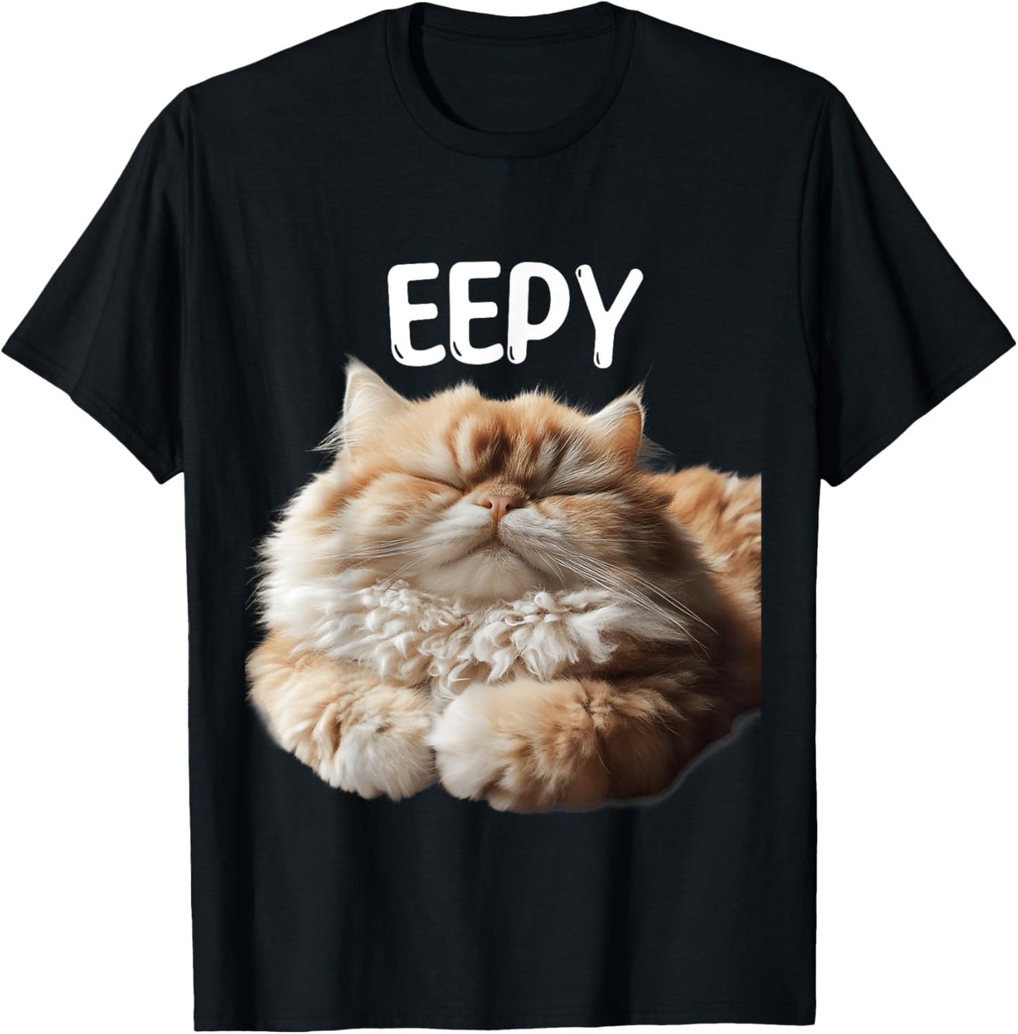 Eepy Cat, Silly Sleepy Cat Meme Cute fluffy cat lovers T-Shirt - T-Shirt | Black