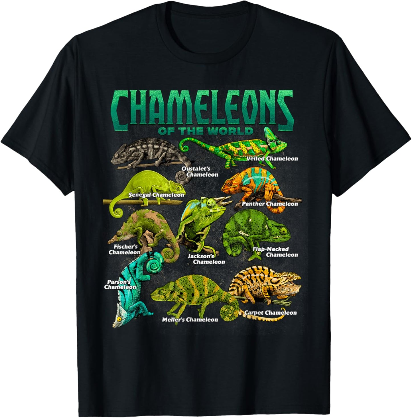 Chameleons of The World Educational Reptile Lizard Lover T-Shirt - T-Shirt | Black